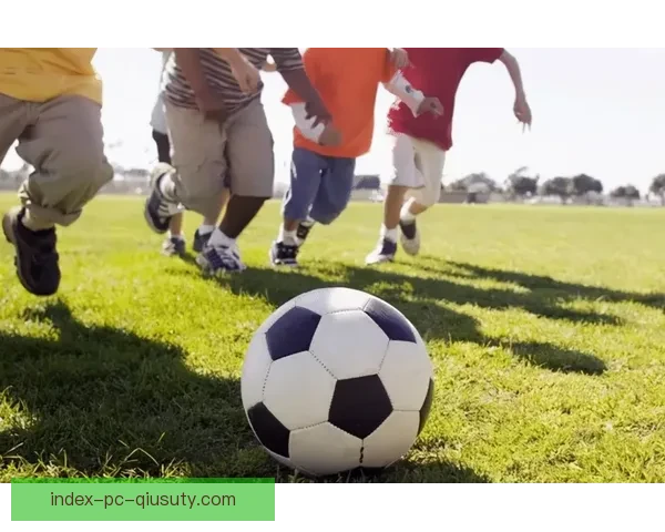 龙珠直播足球赛事全景解析精彩对决即时互动新体验深度报道权威解说